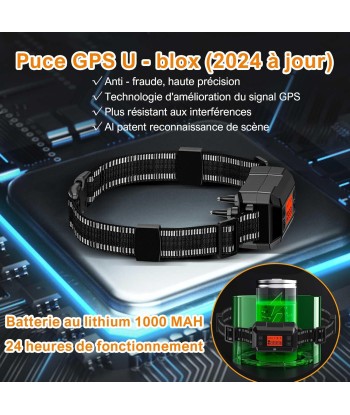 Collier Chien Clôture Anti-Fugue Sans Fil GPS Extérieur IPX7 Étanche Système Complet Amplification Signal GPS Intelligente Rayon Jusqu'à 1000m la colonne vertébrale