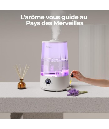 Humidificateur Air 3.6L 16dB Silencieux Plusieurs Modes 7 Couleurs Autonomie 34h Les magasins à Paris et en Île-de-France