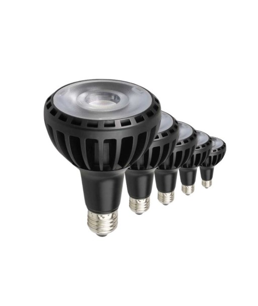 Ampoule E27 LED PAR30 30W 220V RA80 NOIR le des métaux précieux