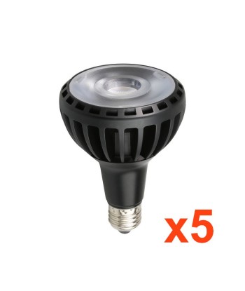 Ampoule E27 LED PAR30 30W 220V RA80 NOIR le des métaux précieux