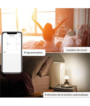 Ampoule LED Connectée Wifi E27 11W G95 RGBW de votre