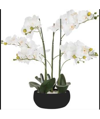 Orchidée Artificielle 65cm avec Pot en Céramique - Couleur Uni Faites des économies