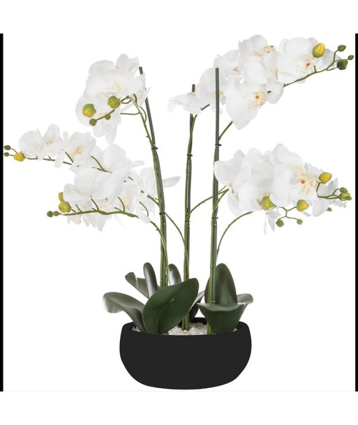 Orchidée Artificielle 65cm avec Pot en Céramique - Couleur Uni Faites des économies