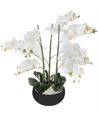 Orchidée Artificielle 65cm avec Pot en Céramique - Couleur Uni Faites des économies