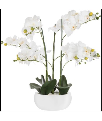 Orchidée Artificielle 65cm avec Pot en Céramique - Couleur Uni Faites des économies