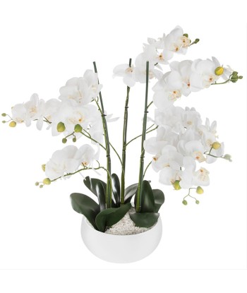 Orchidée Artificielle 65cm avec Pot en Céramique - Couleur Uni Faites des économies