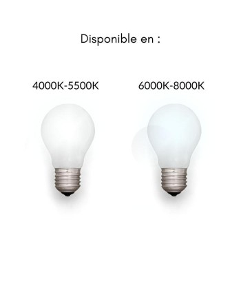 Tube néon LED 150cm T5 24W les ligaments