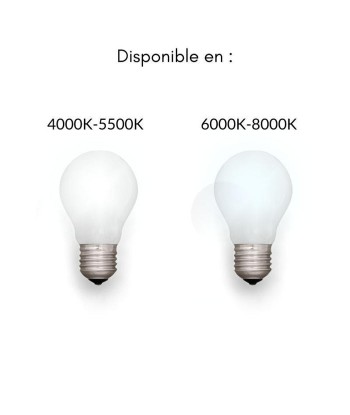 Tube néon LED 60cm T5 9W shop