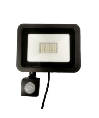 Projecteur LED 30W avec Détecteur de Mouvement Crépusculaire Extra Plat IP65 pas cheres