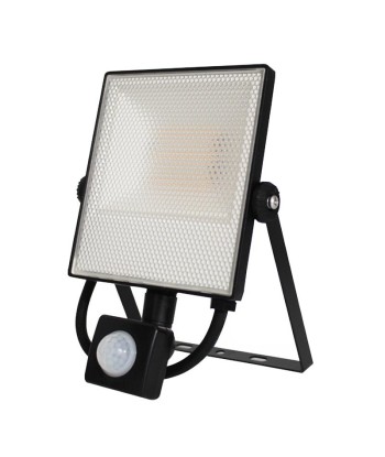 Projecteur LED Connecté WiFi RGBW 20W IP44 avec Détecteur de Mouvement Voir les baskets