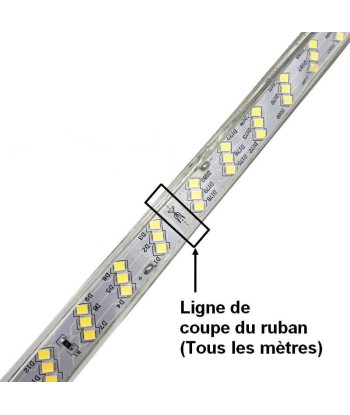 Ruban LED 220V Recoupable 50M IP65 2835 180LED/m Triple Rangée vente chaude votre 