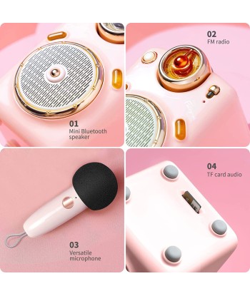 Haut-Parleur Bluetooth Portable et Microphone karaoké KTV IOS/Android Rose pour bénéficier 