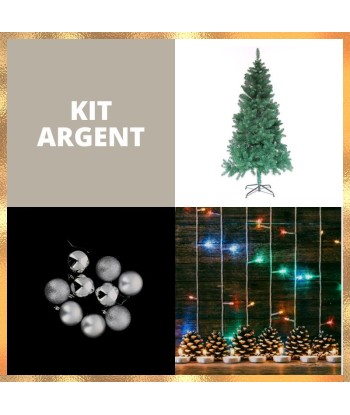 Kit Sapin Floqué 180Cm Blanc Argent Lumineux prix