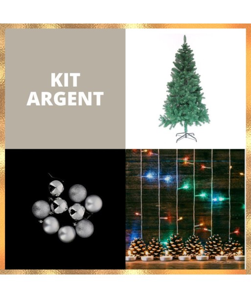 Kit Sapin Floqué 180Cm Blanc Argent Lumineux prix