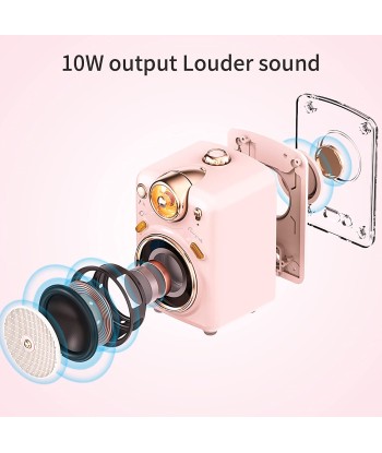 Haut-Parleur Bluetooth Portable et Microphone karaoké KTV IOS/Android Rose pour bénéficier 