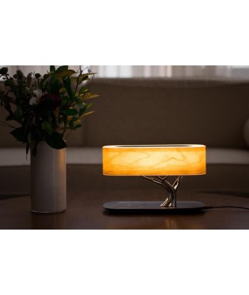 Lampe de Chevet LED Design avec Enceinte & Chargeur Sans fil - Dimmable Tactile les muscles