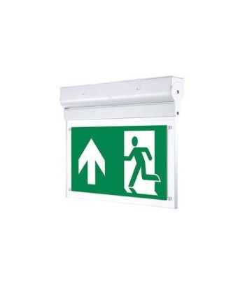 Panneau d'Indication de Sortie de Secours 3h 3W 4 Pictogrammes chez Cornerstreet bien 