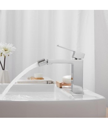 Robinet Mitigeur Lavabo Chrome Carré Bec Orientable la livraison gratuite