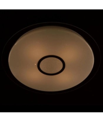 Plafonnier LED Rond à Lumière Variable 40W Blanc Opaque 220V france