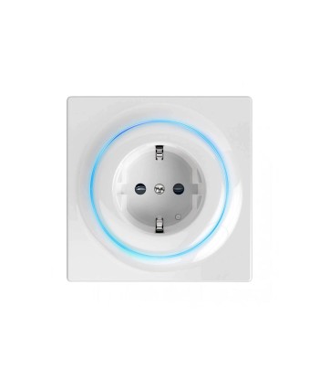 FGWOF-011 EU Fibaro Walli Outlet F une grave pollution 