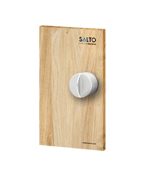 DANLOCK V3 SMART LOCK (COUVERCLE EN BOIS CLAIR) d'Europe débarque