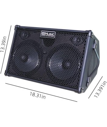 Amplificateur 2x60W Guitare Acoustique Haut-parleur Bluetooth Portable Effet Reverb Chorus Delay 7 Entrées votre