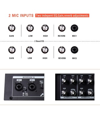 Amplificateur 2x60W Guitare Acoustique Haut-parleur Bluetooth Portable Effet Reverb Chorus Delay 7 Entrées votre